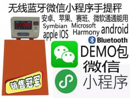 微信小程序便攜手提電子秤 藍(lán)牙無(wú)線(xiàn)低功率電子稱(chēng)