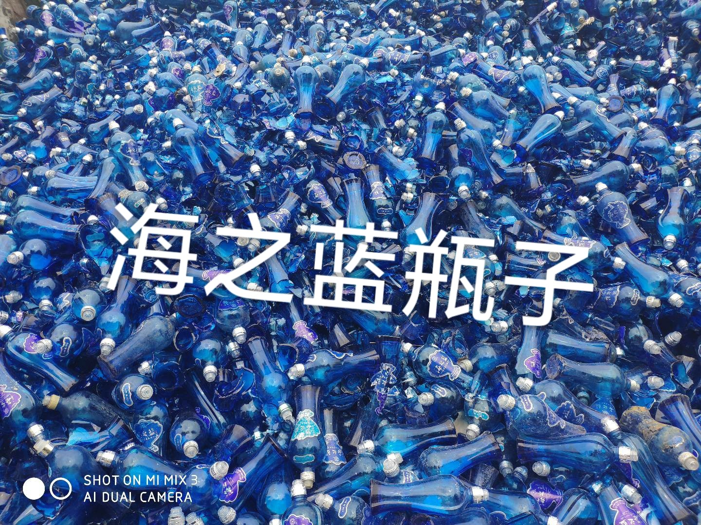 海之藍(lán)瓶回收